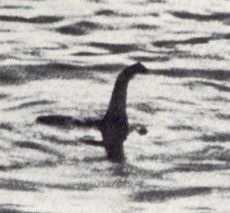 Name:  nessie.jpg
Views: 14447
Size:  11.0 KB