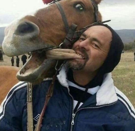 Name:  horsetongue.JPG
Views: 1050
Size:  47.6 KB