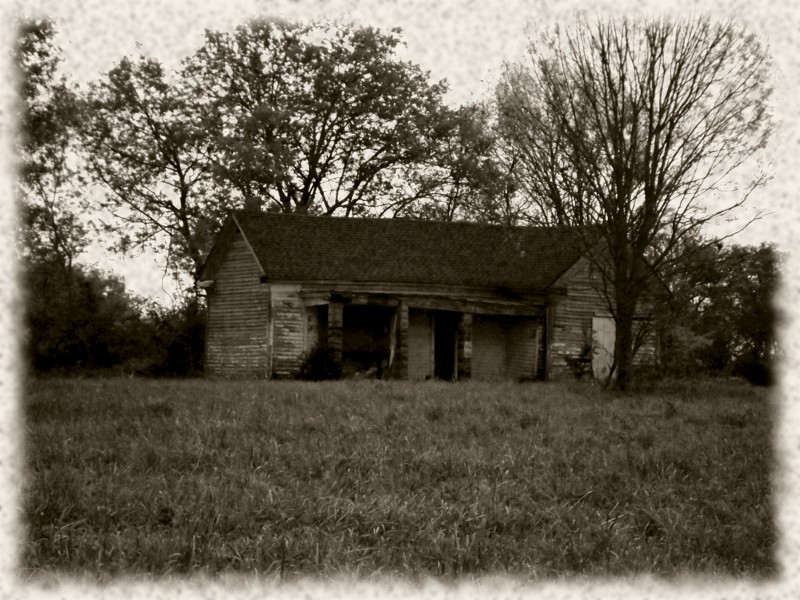 Name:  abandoned.jpg
Views: 287
Size:  190.7 KB