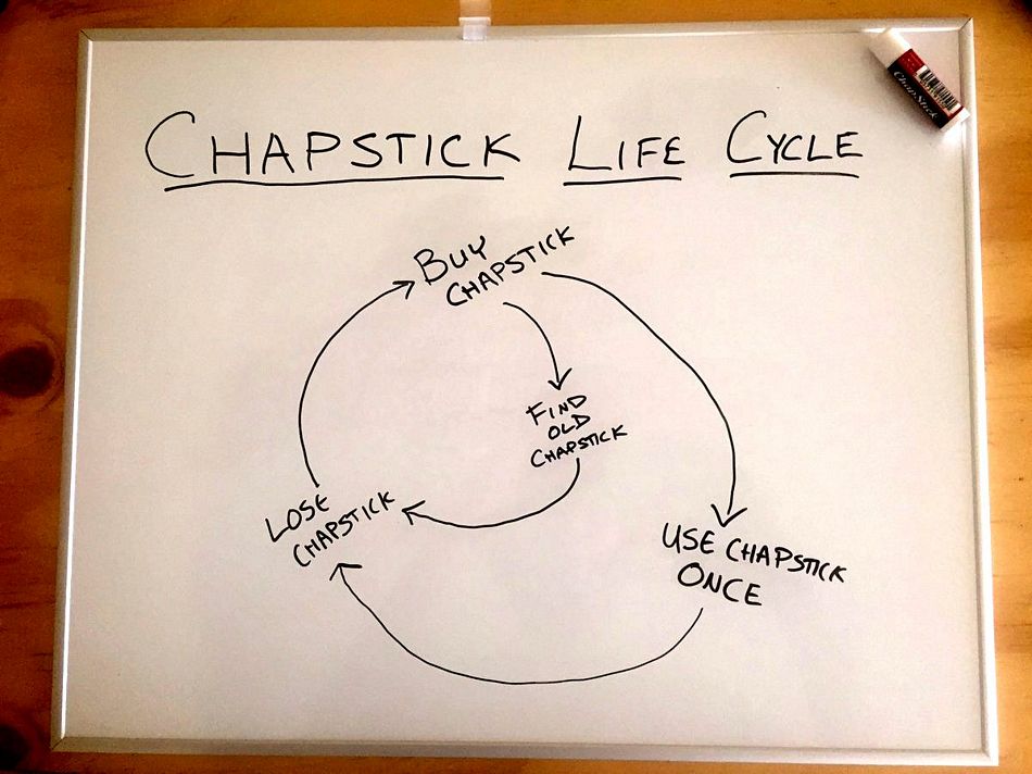 Name:  chapsticklifecycle.jpg
Views: 454
Size:  88.1 KB