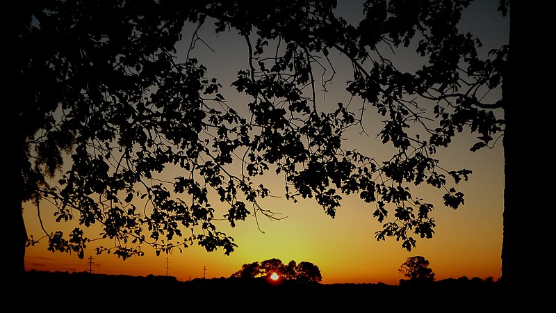 Name:  sunset5.jpg
Views: 237
Size:  155.4 KB