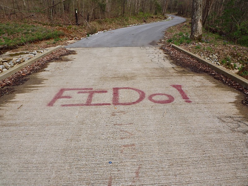 Name:  Fido.jpg
Views: 612
Size:  235.2 KB