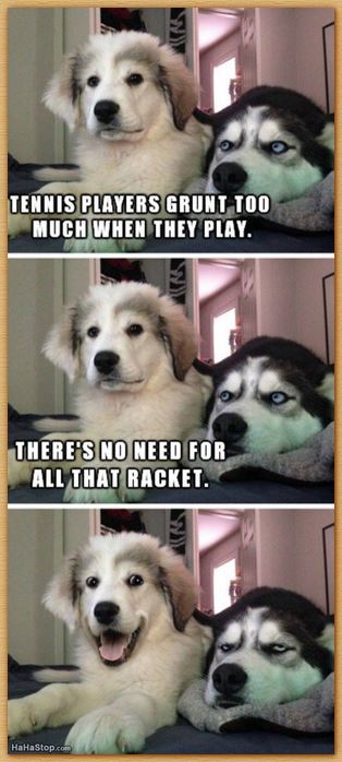 Name:  dog.JPG
Views: 411
Size:  52.5 KB