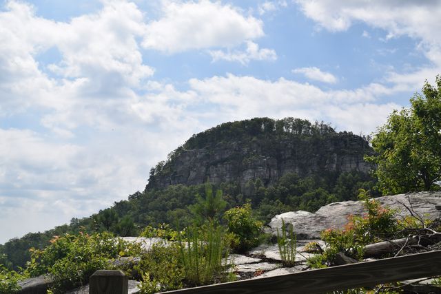 Name:  DSC_0037-001.JPG
Views: 403
Size:  67.6 KB