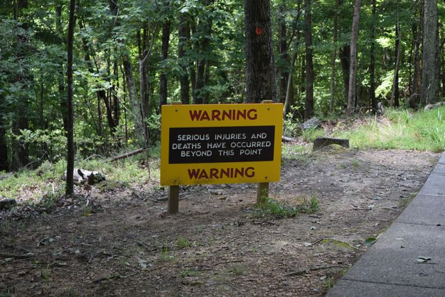 Name:  DSC_0004.JPG
Views: 422
Size:  151.2 KB