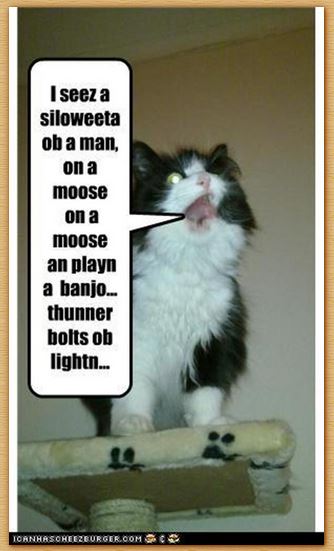 Name:  rhapsodycat.JPG
Views: 817
Size:  37.6 KB