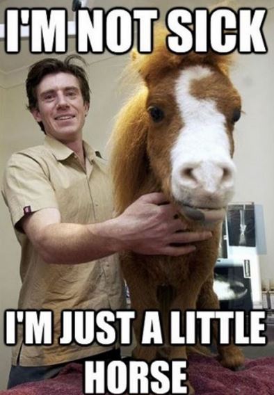 Name:  horselette.JPG
Views: 519
Size:  48.2 KB