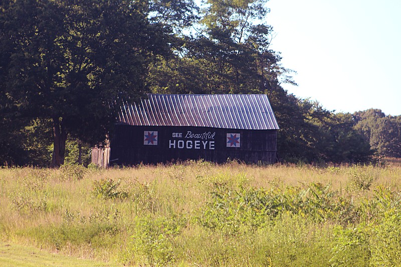 Name:  Hogeye Barn.jpg
Views: 545
Size:  195.4 KB