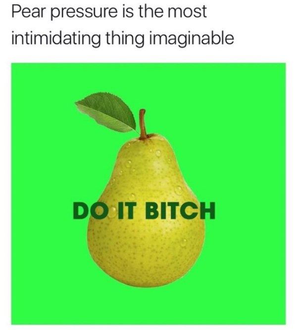 Name:  Pear_Pressure.jpg
Views: 652
Size:  34.4 KB