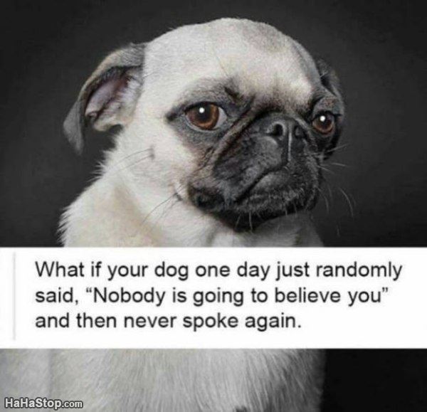 Name:  What_If_One_Day.jpg
Views: 292
Size:  45.3 KB