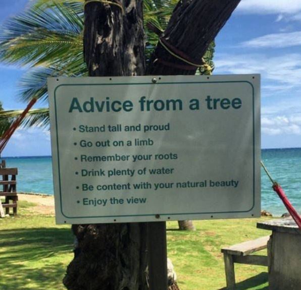 Name:  advice.JPG
Views: 1215
Size:  62.6 KB