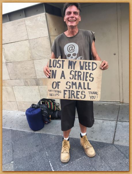Name:  inneedofweed.JPG
Views: 1185
Size:  58.9 KB