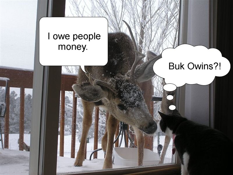 Name:  deer and cat bubbles.jpg
Views: 439
Size:  113.9 KB