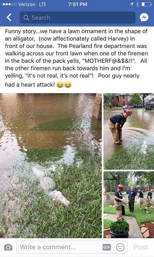 Name:  harveythealligator.jpg
Views: 152
Size:  120.3 KB