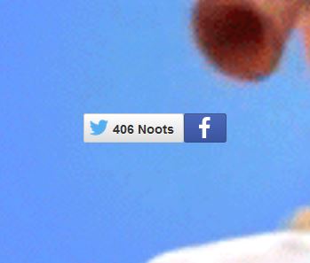 Name:  406noots.JPG
Views: 3277
Size:  15.8 KB