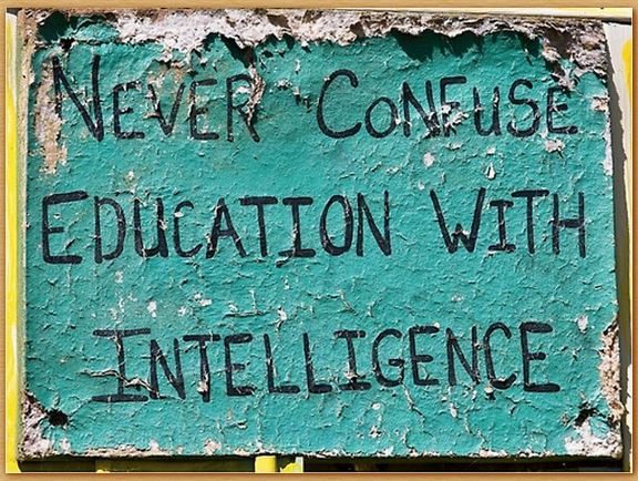 Name:  educationandintelligence.jpg
Views: 1607
Size:  97.7 KB