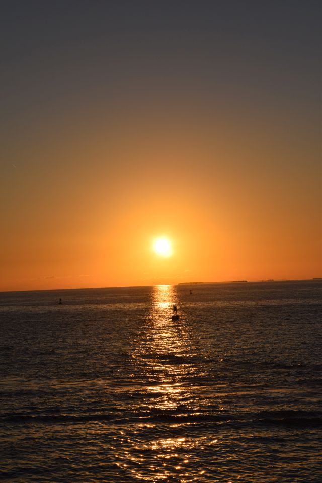 Name:  DSC_0358.JPG
Views: 149
Size:  86.1 KB