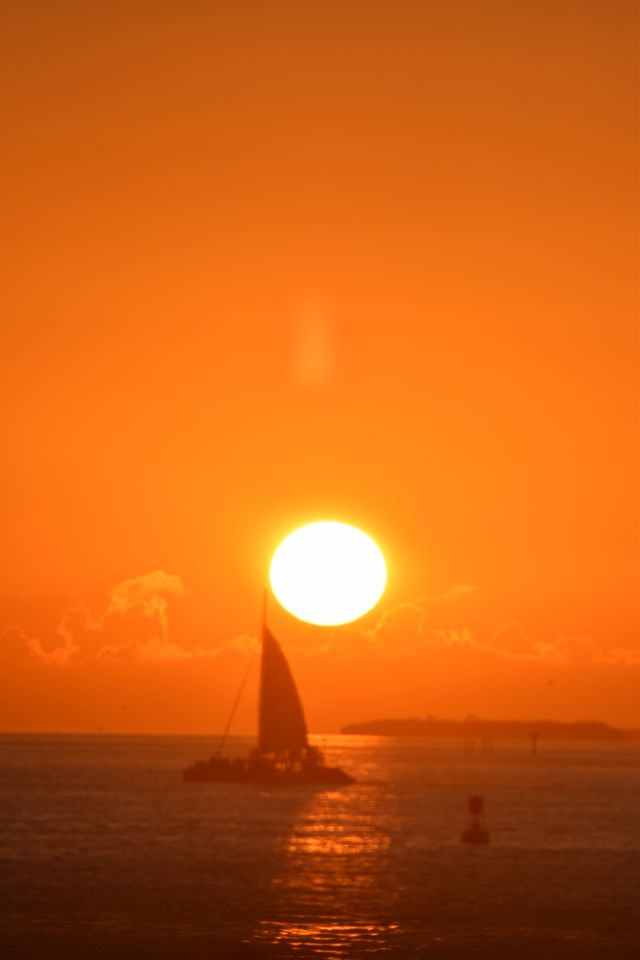 Name:  DSC_0387.JPG
Views: 143
Size:  37.0 KB