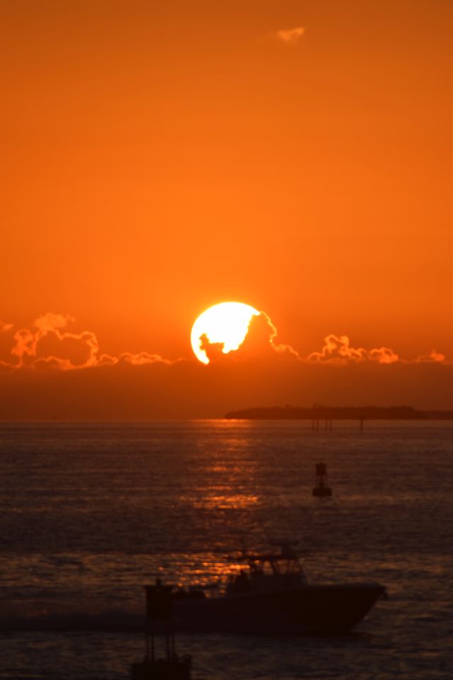 Name:  DSC_0413.JPG
Views: 135
Size:  46.3 KB