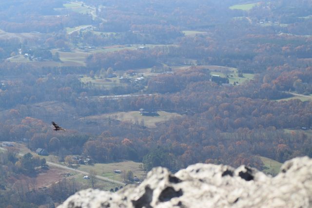 Name:  DSC_0045.JPG
Views: 344
Size:  56.4 KB