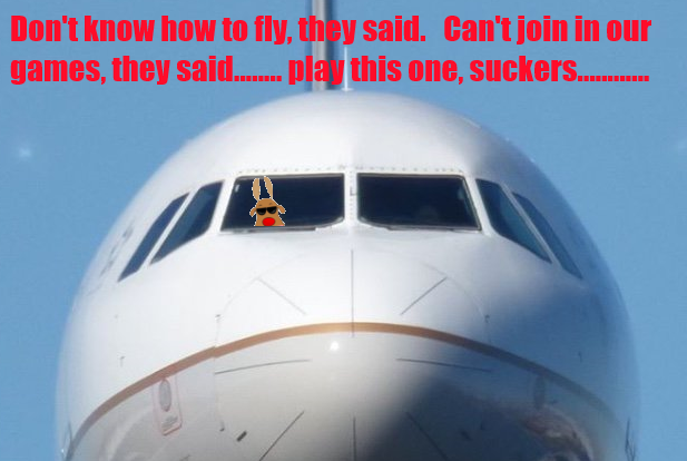 Name:  12 -Rudyfly.png
Views: 283
Size:  286.5 KB