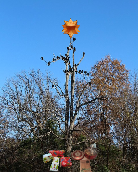 Name:  17-cellartree.png
Views: 240
Size:  574.4 KB