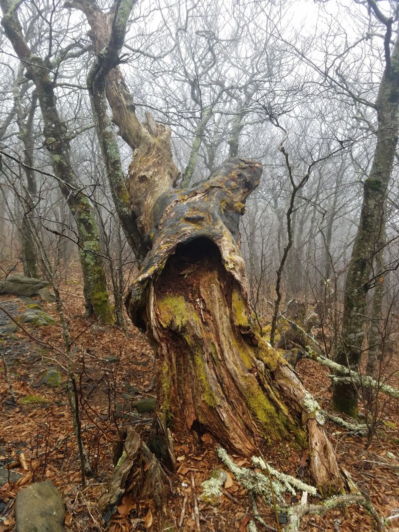 Name:  20180127_113254.jpg
Views: 283
Size:  299.5 KB