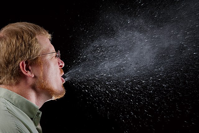 Name:  Sneeze.JPG
Views: 574
Size:  87.7 KB
