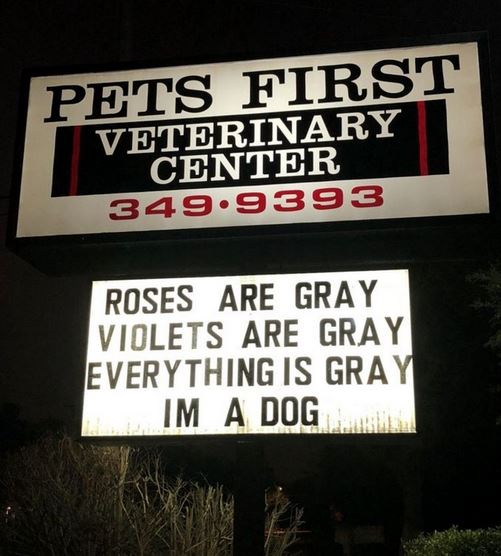 Name:  dog.JPG
Views: 1481
Size:  55.3 KB
