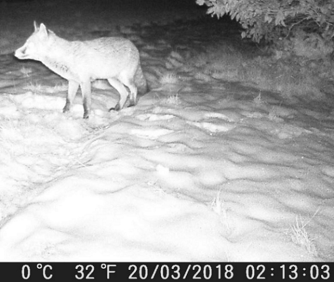 Name:  0054.JPG
Views: 4145
Size:  119.6 KB