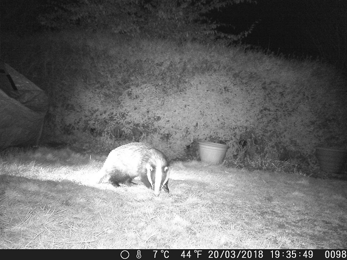 Name:  DSCF0098.JPG
Views: 4014
Size:  164.7 KB