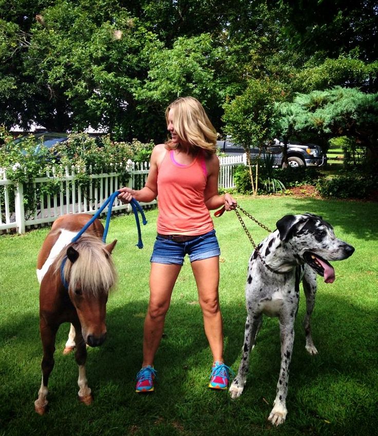 Name:  twosmallhorses.jpg
Views: 671
Size:  181.5 KB