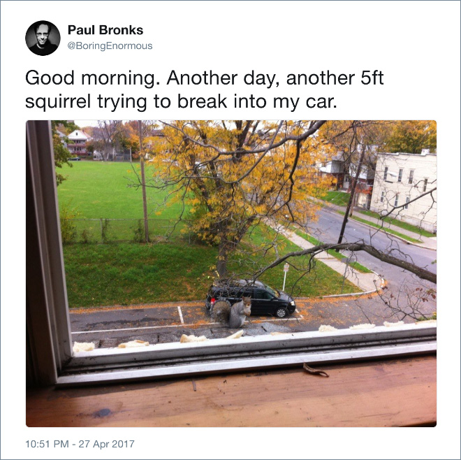 Name:  5 foot squrl.jpg
Views: 636
Size:  168.2 KB