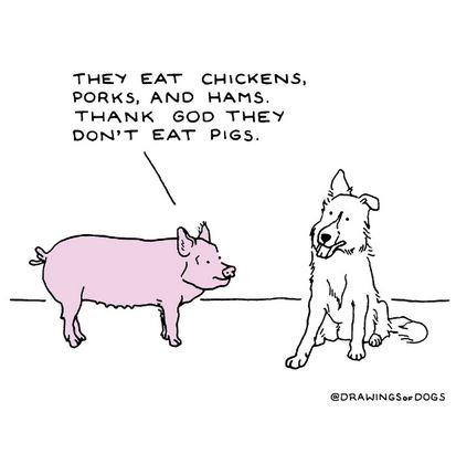 Name:  pig.JPG
Views: 1015
Size:  26.4 KB