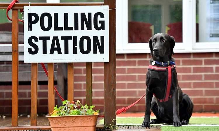 Name:  Floating Voter.jpg
Views: 1700
Size:  132.4 KB