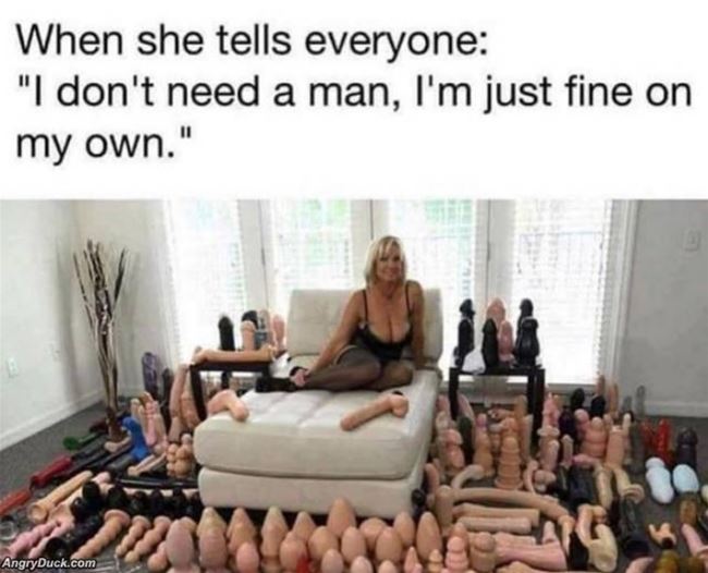 Name:  No_Man_Needed_Here.jpg
Views: 791
Size:  49.1 KB
