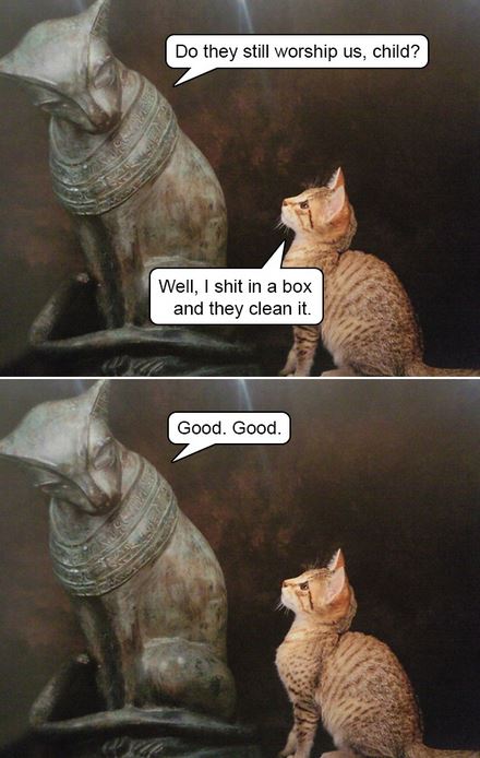 Name:  good.JPG
Views: 445
Size:  56.7 KB