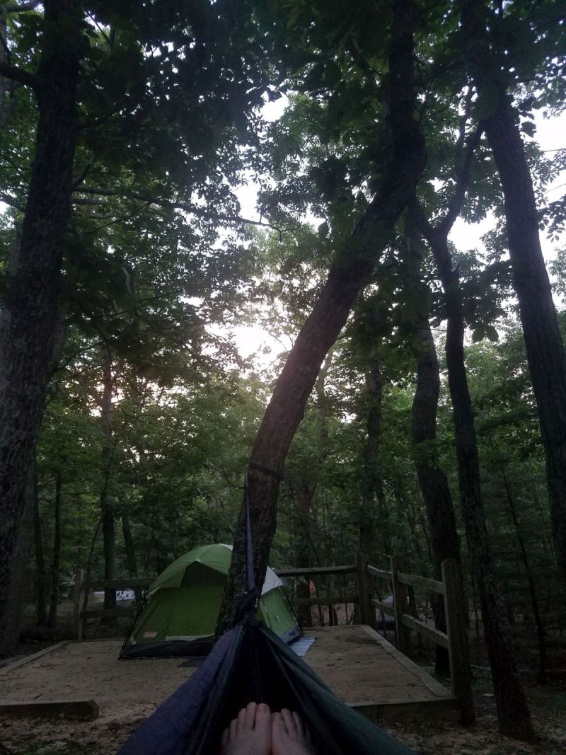 Name:  HammockTentView.jpg
Views: 359
Size:  176.2 KB