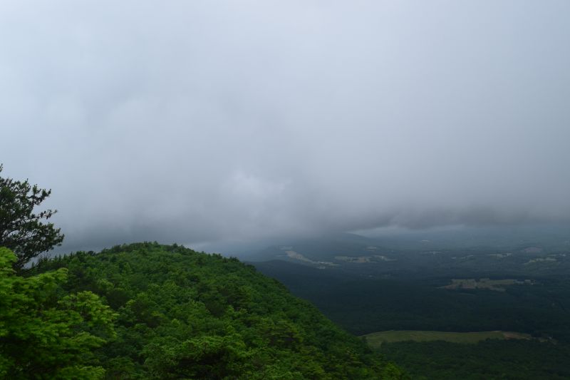 Name:  DSC_0126.JPG
Views: 350
Size:  45.8 KB