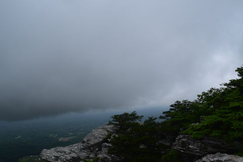 Name:  DSC_0127.JPG
Views: 342
Size:  45.5 KB