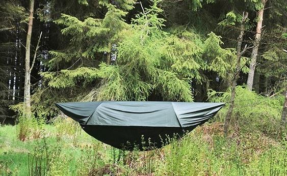 Name:  hammock.JPG
Views: 946
Size:  83.0 KB