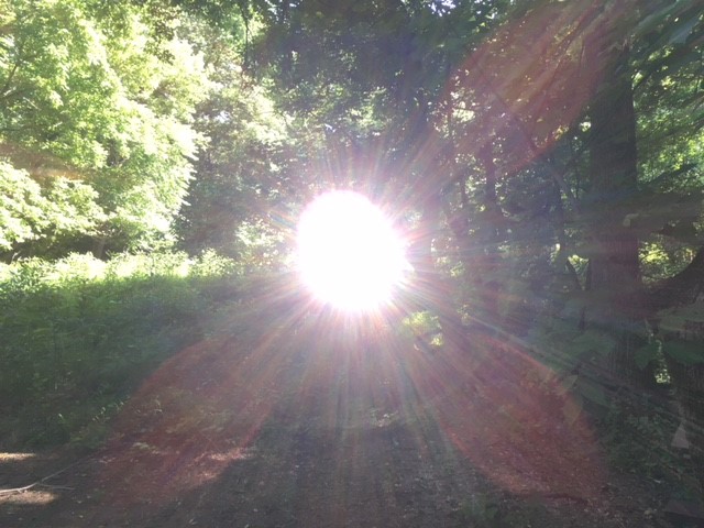 Name:  marsen signal got it.jpg
Views: 479
Size:  88.3 KB
