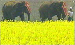 Name:  Ian Botham 2.jpg
Views: 942
Size:  9.2 KB