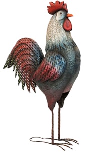 Name:  ROOSTER 6FT JPEG.jpg
Views: 1083
Size:  16.8 KB