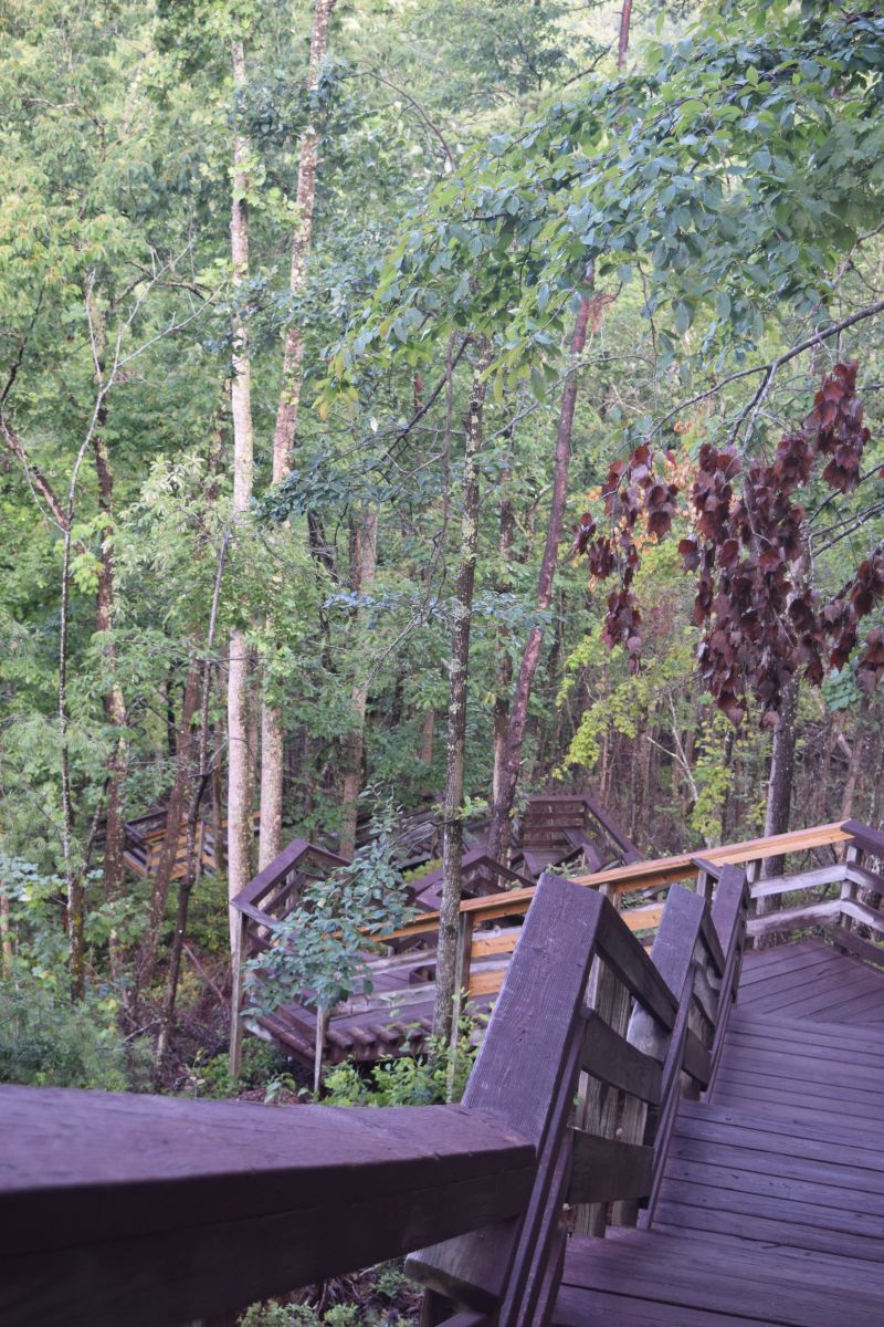 Name:  DSC_0119.JPG
Views: 198
Size:  262.4 KB