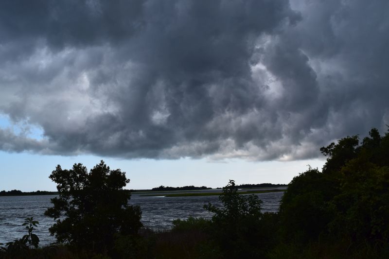 Name:  DSC_0111.JPG
Views: 165
Size:  56.6 KB