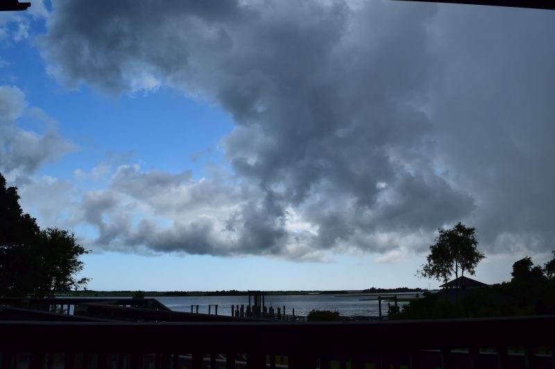 Name:  DSC_0113.JPG
Views: 181
Size:  50.4 KB