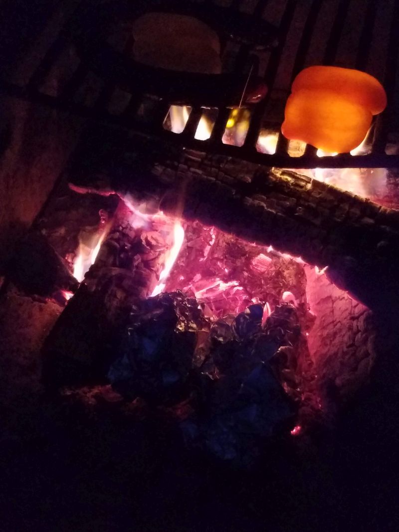 Name:  First dinner cooking.jpg
Views: 466
Size:  86.1 KB