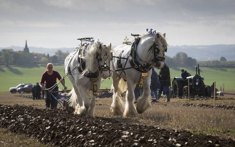 Name:  Ploughing.jpg
Views: 389
Size:  57.3 KB