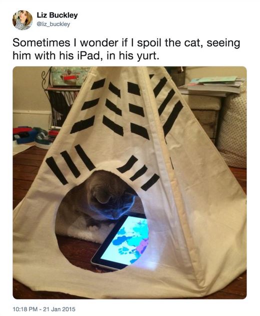 Name:  yurt.JPG
Views: 446
Size:  56.0 KB